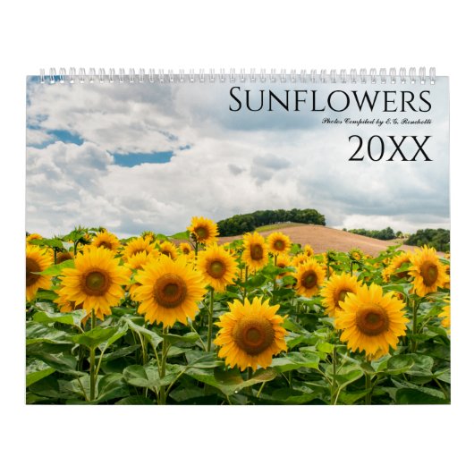 Zonnebloem Foto Wandkalender 2027 Kalender (Hoes)