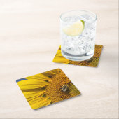 Zonnebloem foto zomer bij botanisch kartonnen onderzetters (Insitu)