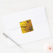 Zonnebloem foto zomer bij botanisch vierkante sticker (Envelop)