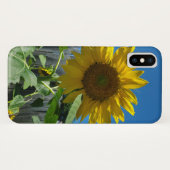  zonnebloem Fotografie Case-Mate iPhone Case (Achterkant (horizontaal))