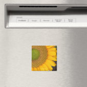 Zonnebloem Fotografie Magneet (Insitu (Vaatwasser))