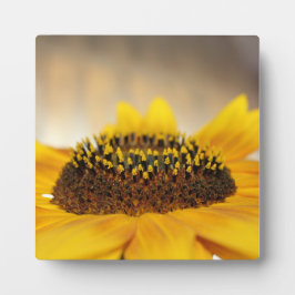 Zonnebloem Fotoplaat