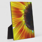 Zonnebloem Fotoplaat (Zijkant)