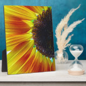 Zonnebloem Fotoplaat (Zijkant)