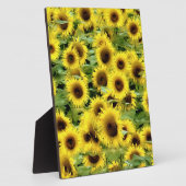 Zonnebloem Fotoplaat (Zijkant)