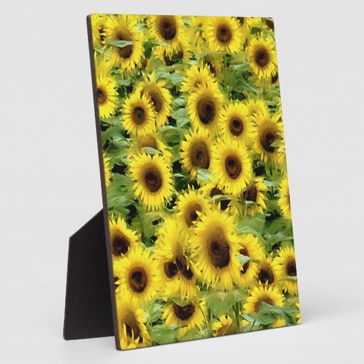 Zonnebloem Fotoplaat (Zijkant)