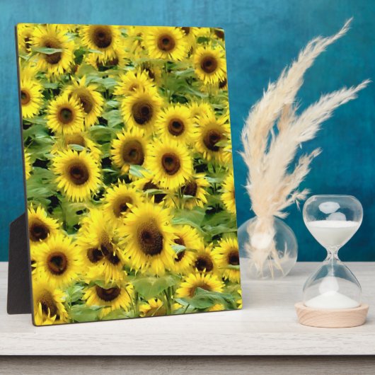 Zonnebloem Fotoplaat (Zijkant)