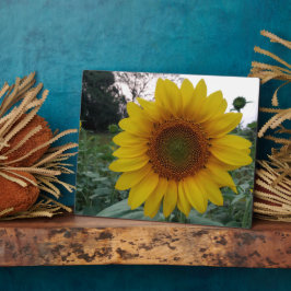 Zonnebloem Fotoplaquette 8x10 met standaard voor w Fotoplaat