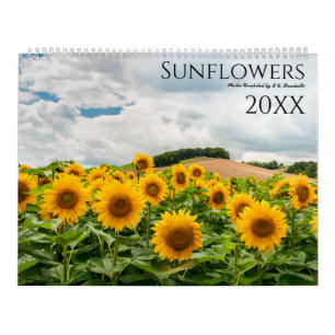 Zonnebloem Fotowandkalender 2024 Kalender