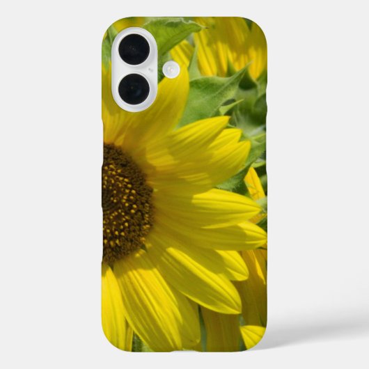 Zonnebloem Garden iPhone Case (Achterkant)