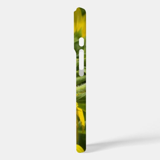 Zonnebloem Garden iPhone Case (Achterkant / Links)