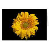 Zonnebloem GCNM (Voorkant Horizontaal)