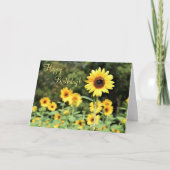 Zonnebloem Gebied Happy Birthday Wenskaart Kaart (Voorkant)