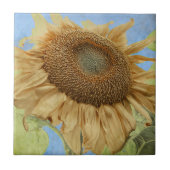 Zonnebloem Geel Blauw Rustic Tuin Land Floral Tegeltje (Voorkant)
