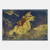 Zonnebloem Geel Blauw Schets  Antiek Inpakpapier Vel (Voorkant 3)