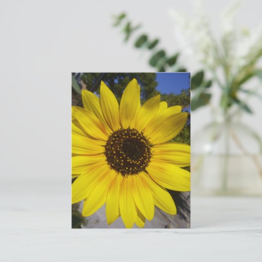 Zonnebloem geel briefkaart (Staand voorkant)