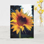 Zonnebloem Geel Groen Kaart (Gele Bloem)