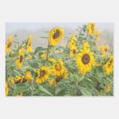 Zonnebloem Geel Groene Mooie Floral Inpakpapier Vel (Voorkant 2)