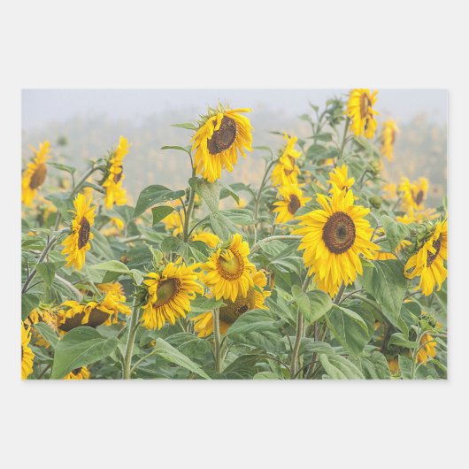 Zonnebloem Geel Groene Mooie Floral Inpakpapier Vel (Voorkant 2)