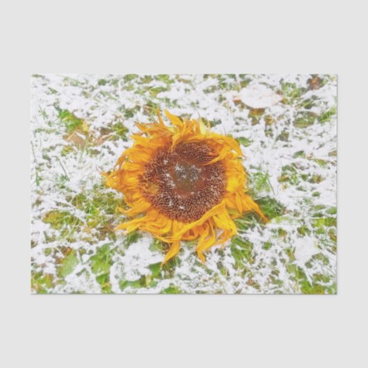 Zonnebloem Geel In Winter Sneeuw Decoupage Tissuepapier (Voorkant)