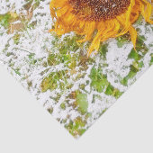 Zonnebloem Geel In Winter Sneeuw Decoupage Tissuepapier (Detail)