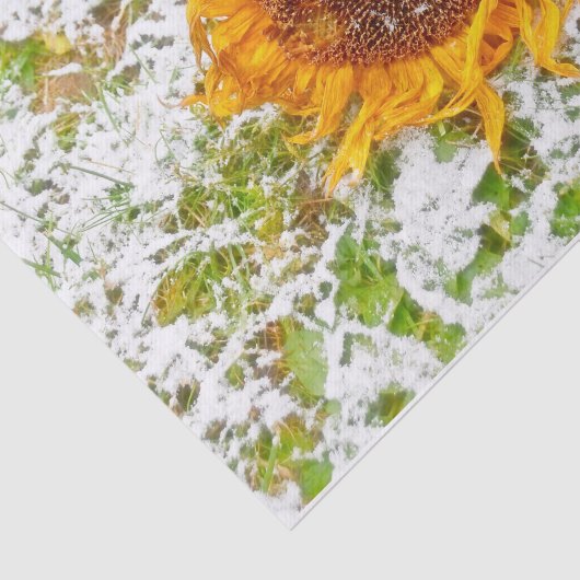 Zonnebloem Geel in wintersneeuwontkoppeling Tissuepapier (Detail)