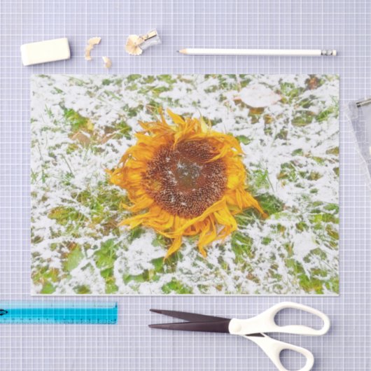 Zonnebloem Geel in wintersneeuwontkoppeling Tissuepapier (Craft)
