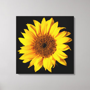 Zonnebloem Geel op Zwart - Gepersonaliseerd Sun Fl Canvas Afdruk