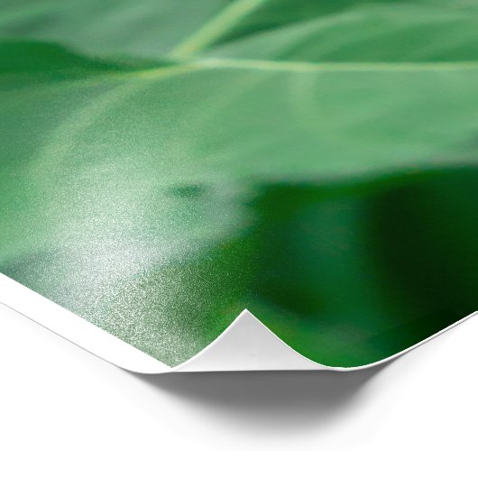 Zonnebloem geel oranje kleur macro close up back-u foto afdruk (Hoek)