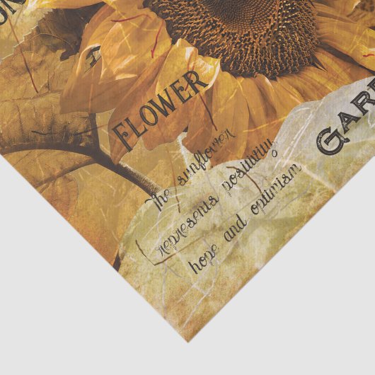 Zonnebloem Geel Schitterend Land Ephemeron Manuscr Tissuepapier (Detail)