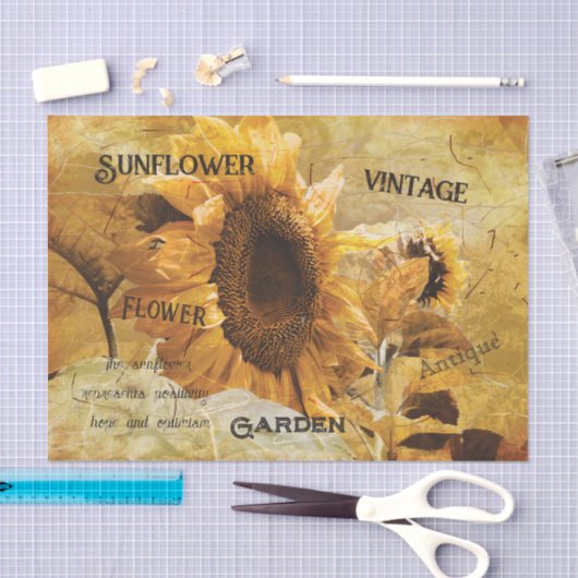 Zonnebloem Geel Schitterend Land Ephemeron Manuscr Tissuepapier (Craft)