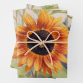 Zonnebloem Geel Sinaasappel Bijentuin Ontschrootho Inpakpapier Vel (In situ)