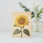 Zonnebloem Gele Waterverf Achtergrond Briefkaart (Staand voorkant)
