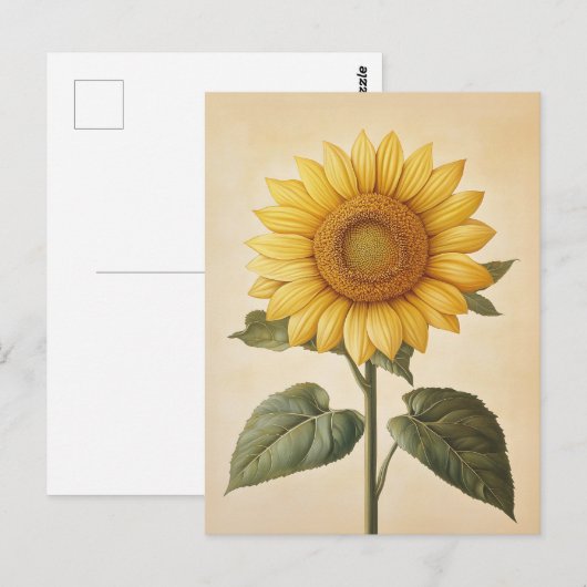 Zonnebloem Gele Waterverf Achtergrond Briefkaart (Voorkant / Achterkant)