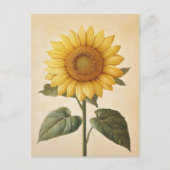 Zonnebloem Gele Waterverf Achtergrond Briefkaart (Voorkant)