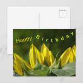 Zonnebloem Gelukkige Verjaardag Ansichtkaart Briefkaart (Voorkant / Achterkant)