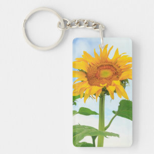 Zonnebloem, gemeenschappelijke tuin, Moses Lake, W Sleutelhanger