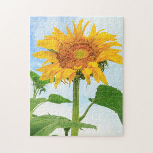 Zonnebloem, gemeenschapstuin, Moses Lake, WA, USA Legpuzzel