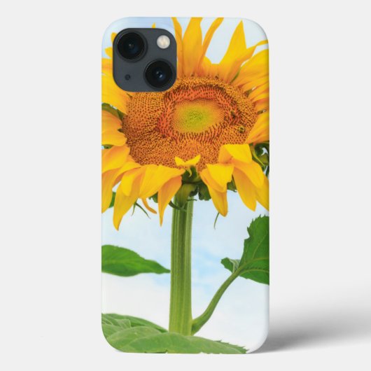 Zonnebloem, gemeenschapstuin, Moses Lake, WA, Vere Case-Mate iPhone Case (Achterkant)
