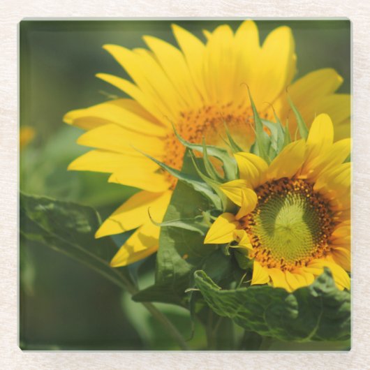 Zonnebloem - Glas Onderzetter (Voorkant)