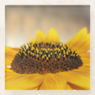 Zonnebloem Glazen Onderzetter