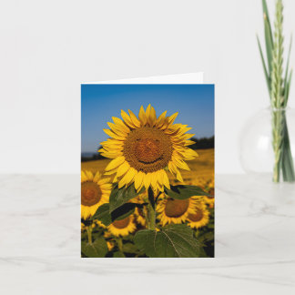 Zonnebloem Glimlach Kaart