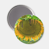 Zonnebloem glimlachen magneet (Voorkant / Achterkant)