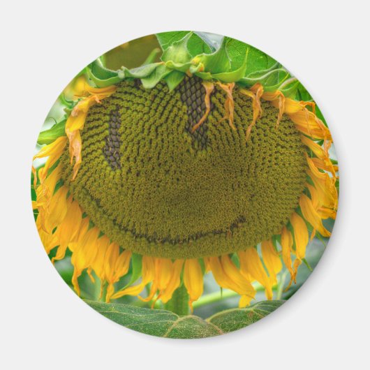 Zonnebloem glimlachen magneet (Voorkant)