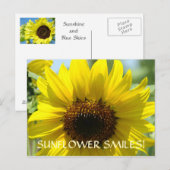 ZONNEBLOEM GLIMLACHES Postkaarten Bloem Zon Bloeme (Voorkant / Achterkant)