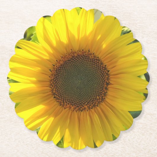 Zonnebloem Gloed Kartonnen Onderzetters (Voorkant)