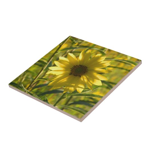Zonnebloem gloed keramische Tegel Tegeltje (Zijkant)