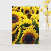 Zonnebloem Glorie 1 Kaart (Gele Bloem)