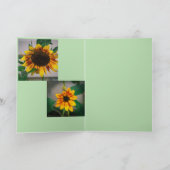 Zonnebloem Glorie Kaart (Binnen)