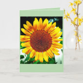 Zonnebloem Glorie Kaart (Gele Bloem)